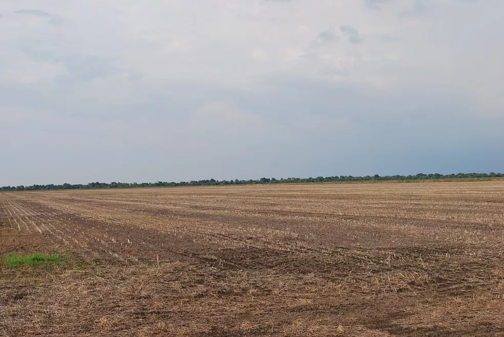 Período do vazio sanitário da soja começa hoje no Tocantins