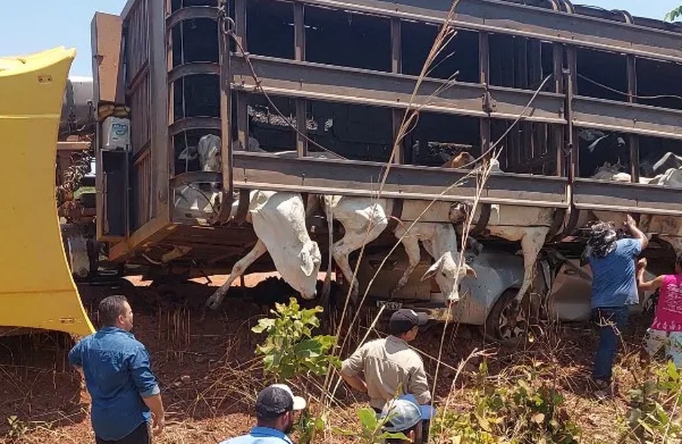 Casal morre após carreta com gado tombar em cima de caminhonete na TO-080