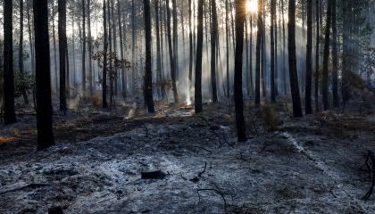 Temperatura na Europa aumenta mais que o dobro da média global em 30 anos