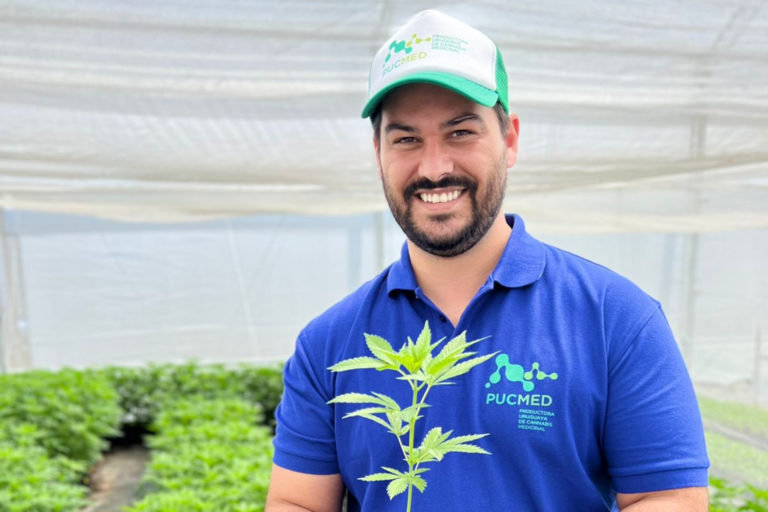 Ele quer ser o primeiro produtor de cannabis com ações listadas na B3