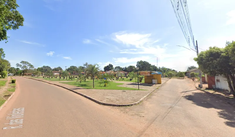 Pintor é flagrado no cultivo de um pé de maconha em Bom Jesus: “chá pra dor de barriga de criança”