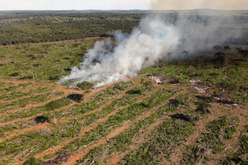 Lei que flexibilizou licenciamento ambiental no Tocantins é declarada inconstitucional pelo TJ