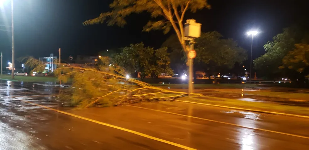 Temporal derruba árvores e causa alagamentos em bairros de Palmas