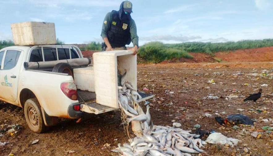 Naturatins deflagra Operação Malha Fina em Palmas e no Bico do Papagaio