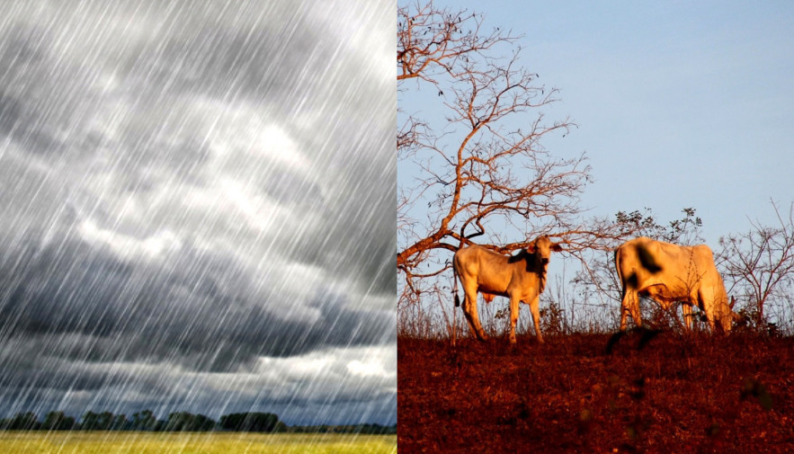 Agricultura alerta setor agropecuário sobre previsão climática após mês de junho