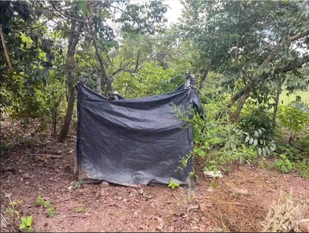 Duas fazendas do Tocantins aparecem na lista suja do trabalho escravo após nove pessoas serem resgatadas