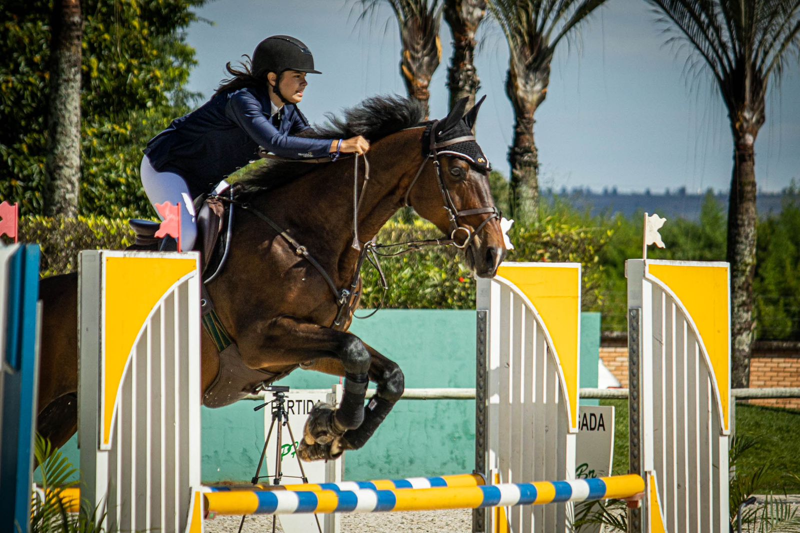 Atleta Fernanda Arantes é destaque no hipismo e conquista pódio no Candangão 2023