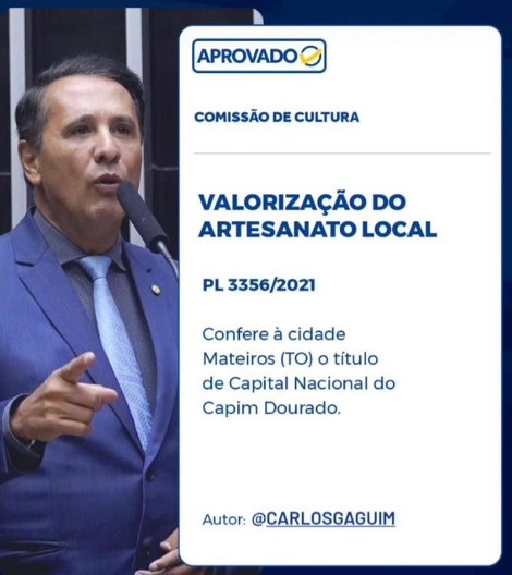 Impulsionada por Gaguim, Mateiros recebe título de “Capital Nacional do Capim Dourado”